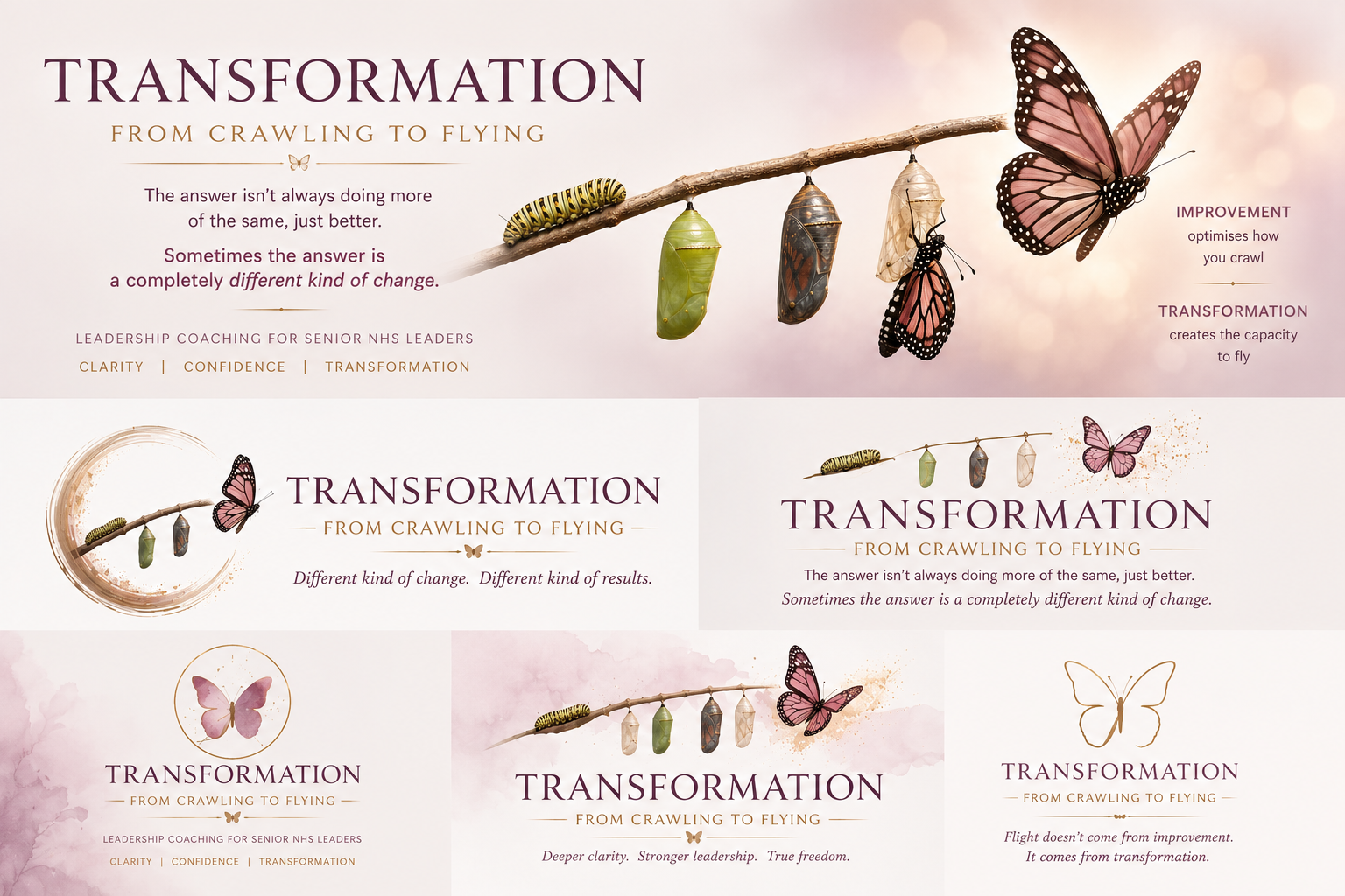 The Sustainable Leadership Programme